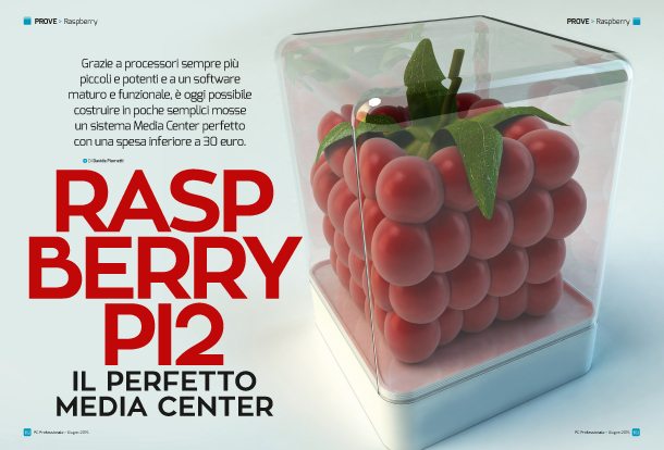 06-Art-Raspberry