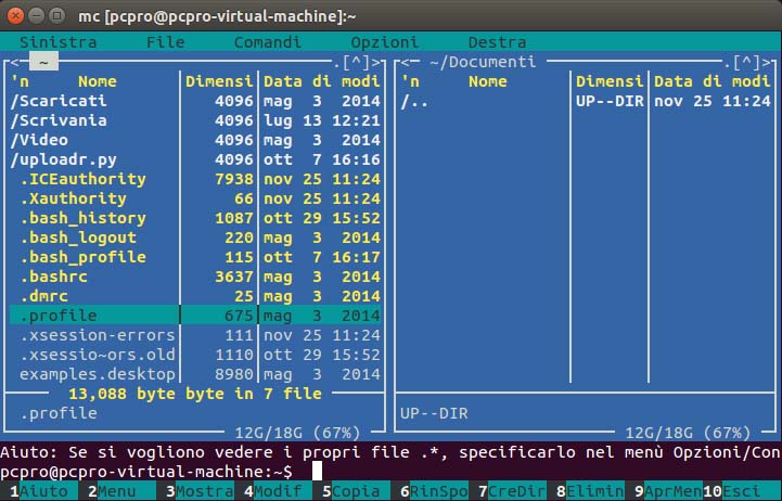 Come gestire i file dal terminale Linux - PC Professionale