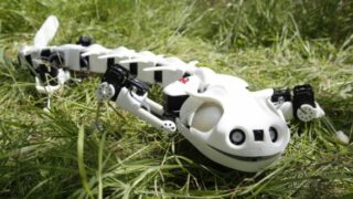 pleurobot-robot-anfibio-stampa-3d