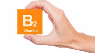 universita-toronto-batteria-vitamina-b2