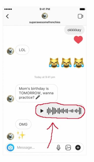 messaggi vocali instagram
