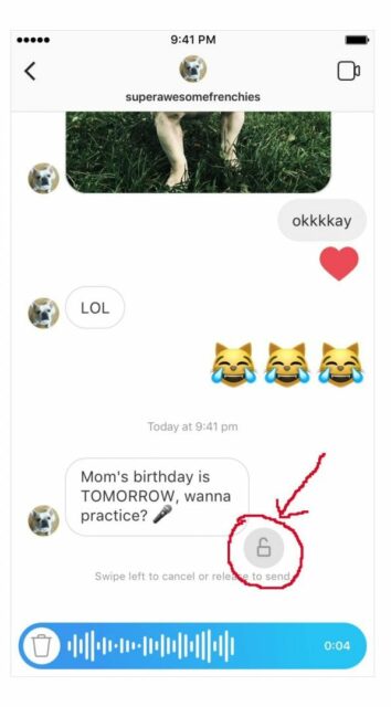 messaggi vocali instagram