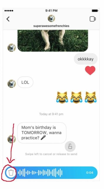 messaggi vocali instagram