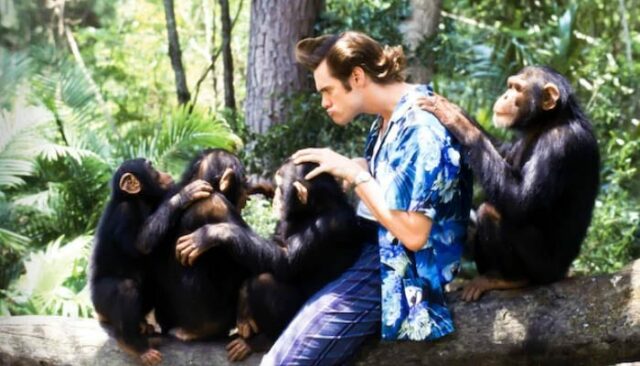 catalogo e programmazione 