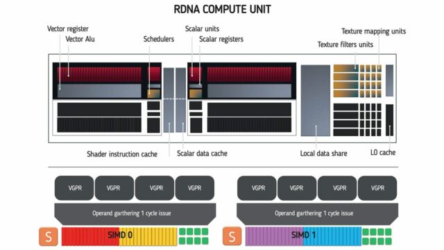 Una Dual Compute Unit accoppia due RDNA CU condividendo una cache e le comunicazioni verso lâesterno. In una RDNA CU le 64 Alu sono divise in due Simd da 32 elementi in grado di eseguire unâistruzione per ogni ciclo di clock.