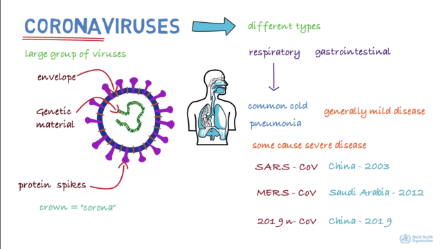 Coronavirus di Wuhan, video dell'OMS