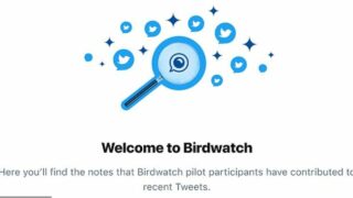 birdwatch twitter diffusione fake news