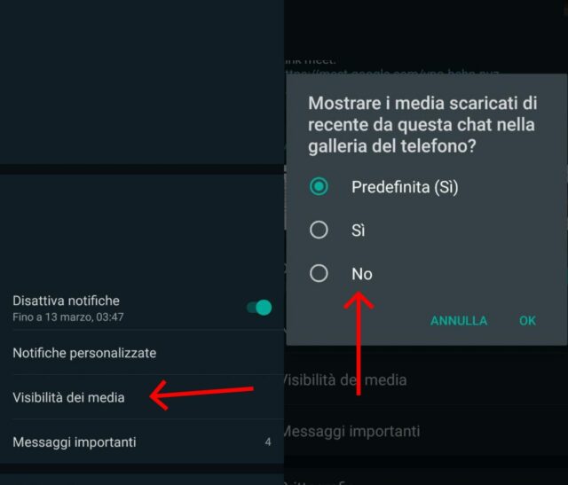 Come evitare che le foto di WhatsApp si salvino nella Galleria