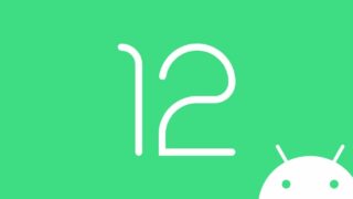 android 12 prima developer preview download
