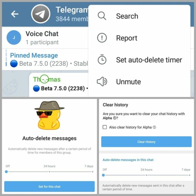 timer telegram beta 7.5