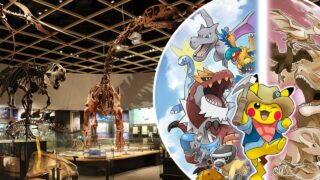 museo fossili pokemon giappone foto apertura