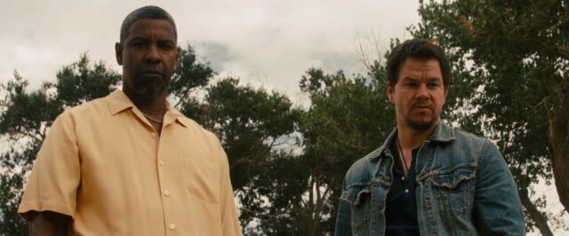 cani sciolti starzplay giugno 2021