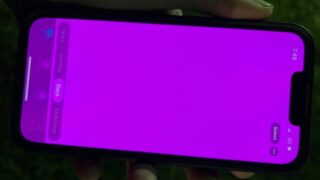 iphone 13 bug schermo rosa