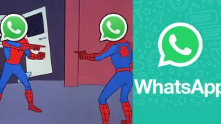 whatsapp chat ufficiale utenti