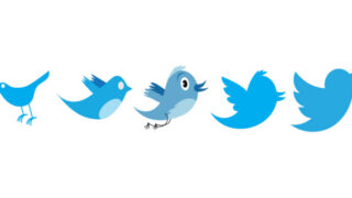 larry the bird storia uccellino logo twitter