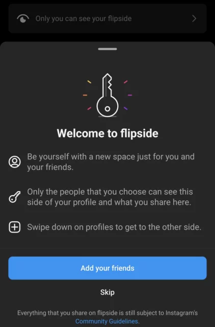 Flipside instagram