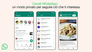 canali whatsapp categorie