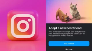 Instagram animali virtuali