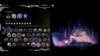 Hollow Knight, dove trovare tutti gli Incavi per Amuleti